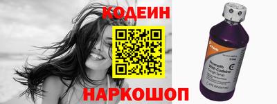 МДПВ Камень-на-Оби