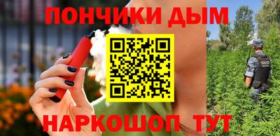 МДПВ Камень-на-Оби