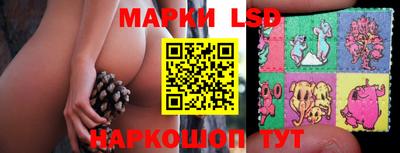 МДПВ Камень-на-Оби