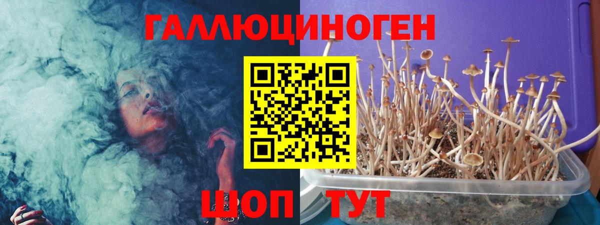 Галлюциногенные грибы Magic Shrooms  магазин продажи   Осинники  Вход с VPN  Псилоцибиновые грибы Cubensis 